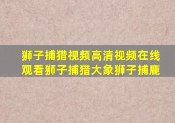 狮子捕猎视频高清视频在线观看狮子捕猎大象狮子捕鹿