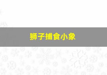 狮子捕食小象