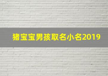 猪宝宝男孩取名小名2019