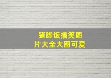 猪脚饭搞笑图片大全大图可爱