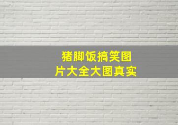 猪脚饭搞笑图片大全大图真实