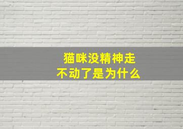 猫咪没精神走不动了是为什么