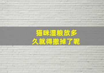 猫咪湿粮放多久就得撤掉了呢