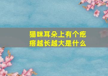 猫咪耳朵上有个疙瘩越长越大是什么