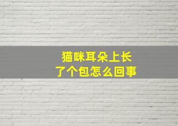 猫咪耳朵上长了个包怎么回事