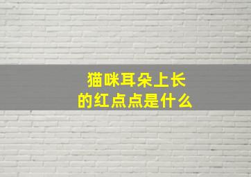 猫咪耳朵上长的红点点是什么