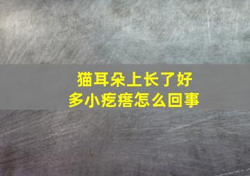 猫耳朵上长了好多小疙瘩怎么回事