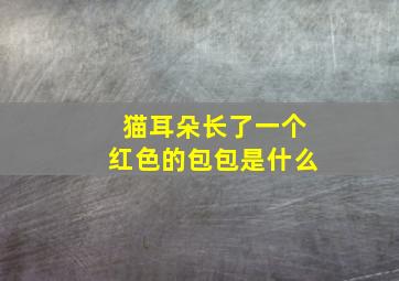 猫耳朵长了一个红色的包包是什么