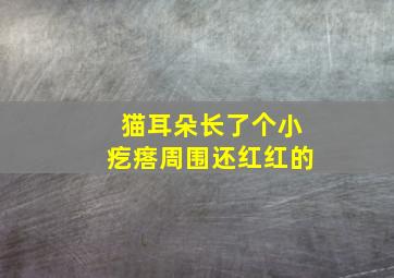 猫耳朵长了个小疙瘩周围还红红的