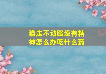 猫走不动路没有精神怎么办吃什么药