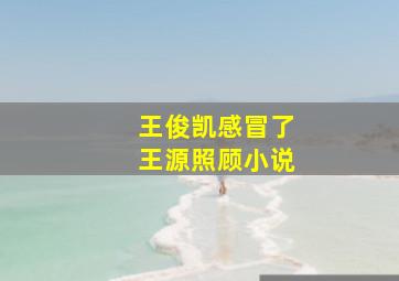 王俊凯感冒了王源照顾小说