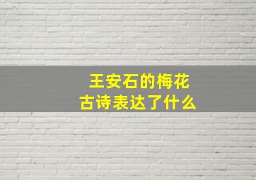 王安石的梅花古诗表达了什么