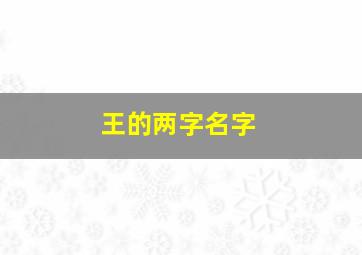 王的两字名字