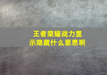 王者荣耀战力显示隐藏什么意思啊