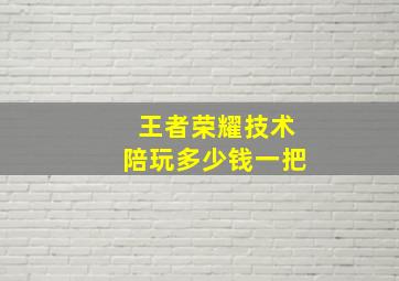 王者荣耀技术陪玩多少钱一把