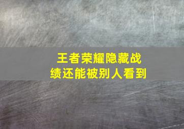 王者荣耀隐藏战绩还能被别人看到