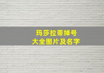 玛莎拉蒂绰号大全图片及名字