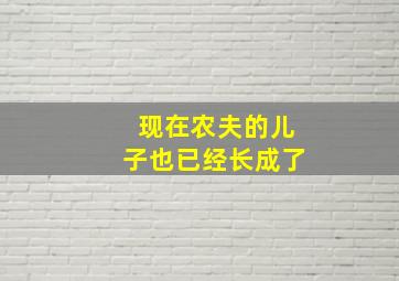 现在农夫的儿子也已经长成了