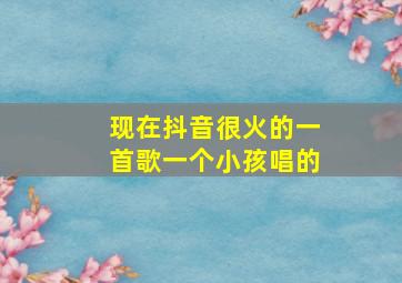 现在抖音很火的一首歌一个小孩唱的