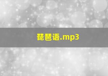 琵琶语.mp3