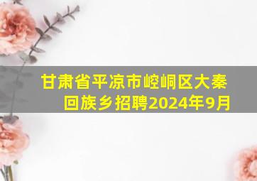 甘肃省平凉市崆峒区大秦回族乡招聘2024年9月