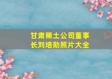 甘肃稀土公司董事长刘培勋照片大全