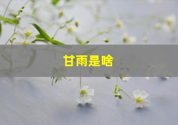 甘雨是啥