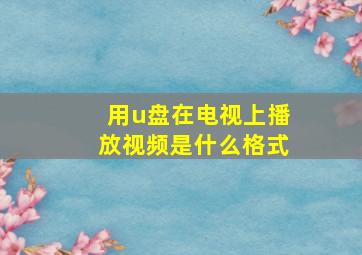 用u盘在电视上播放视频是什么格式