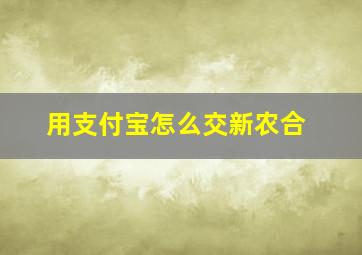 用支付宝怎么交新农合