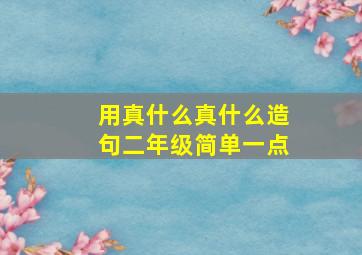 用真什么真什么造句二年级简单一点