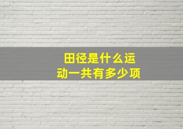 田径是什么运动一共有多少项