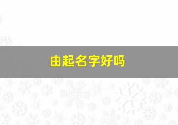 由起名字好吗