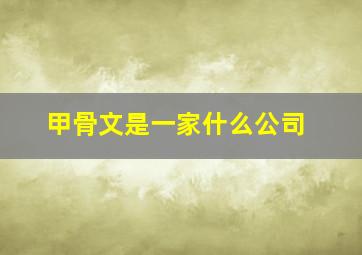 甲骨文是一家什么公司