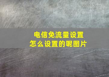 电信免流量设置怎么设置的呢图片