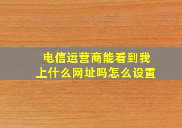 电信运营商能看到我上什么网址吗怎么设置