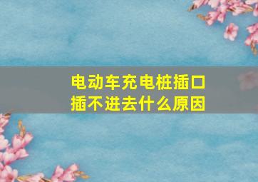 电动车充电桩插口插不进去什么原因