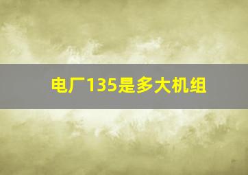 电厂135是多大机组