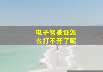 电子驾驶证怎么打不开了呢