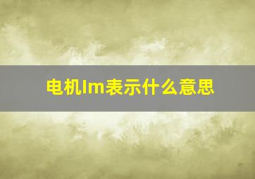 电机Im表示什么意思