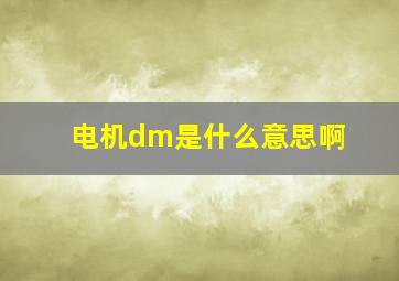 电机dm是什么意思啊