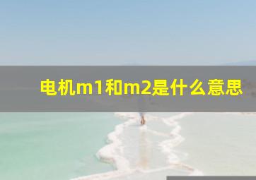 电机m1和m2是什么意思