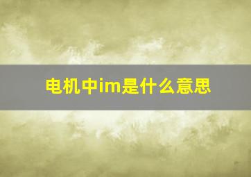 电机中im是什么意思