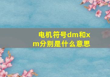 电机符号dm和xm分别是什么意思