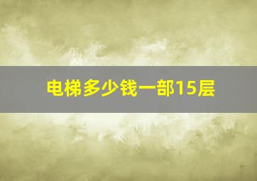 电梯多少钱一部15层