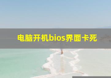 电脑开机bios界面卡死