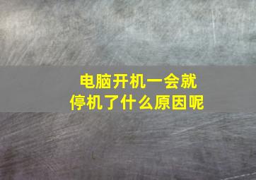 电脑开机一会就停机了什么原因呢