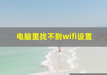 电脑里找不到wifi设置