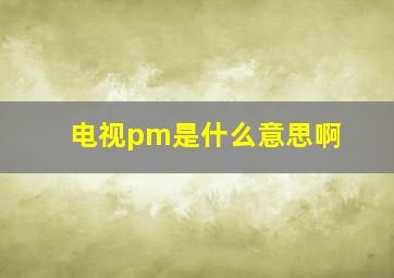 电视pm是什么意思啊