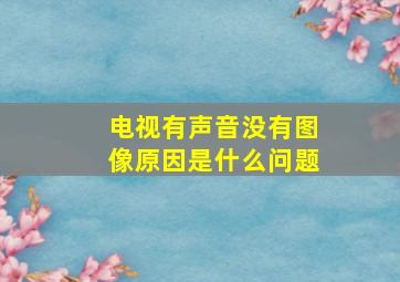 电视有声音没有图像原因是什么问题