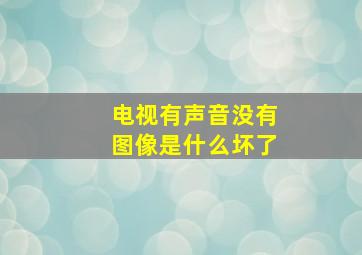 电视有声音没有图像是什么坏了